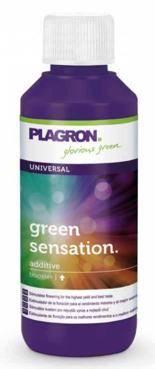 2111-1_plagron-green-sensation-100ml